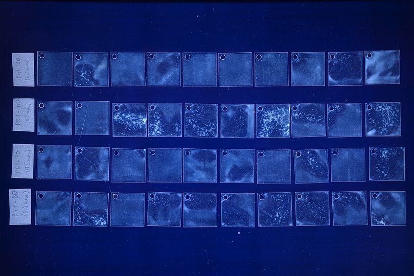 Photoelasticity image of test specimens 