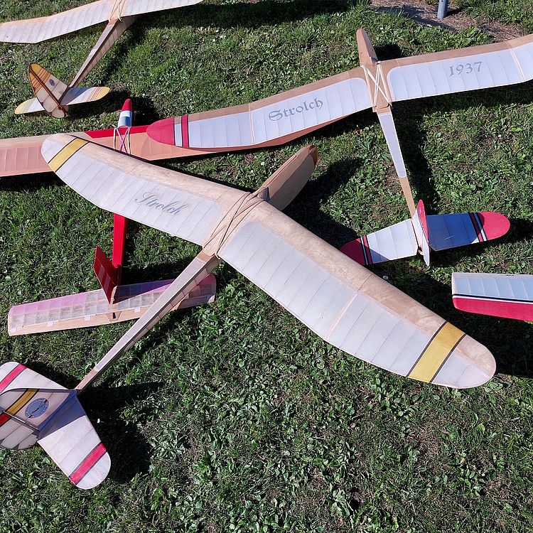 Antik-Flugmodelle auf dem Rasen.