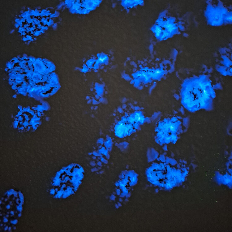 Leuchtende Fingerabdrücke.