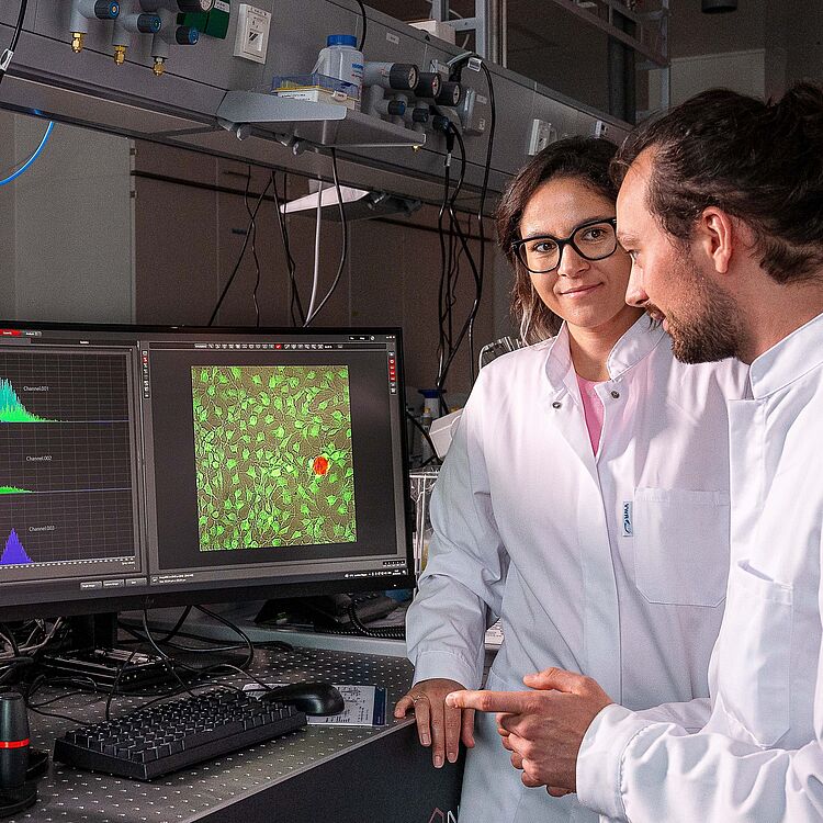 Zwei im Labor stehende Forschende in weißen Kitteln betrachten Computerbildschirme neben einem Lichtmikroskop; auf den Monitoren sind Zellbilder in Grün mit einem roten Signalpunkt und daneben Farbhistogramme zu sehen, zahlreiche Kabel und Laborgeräte im Hintergrund.