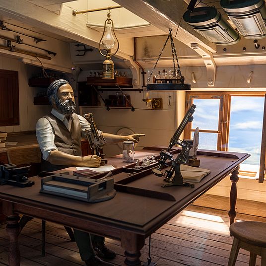 Ausstellungen im Umbau