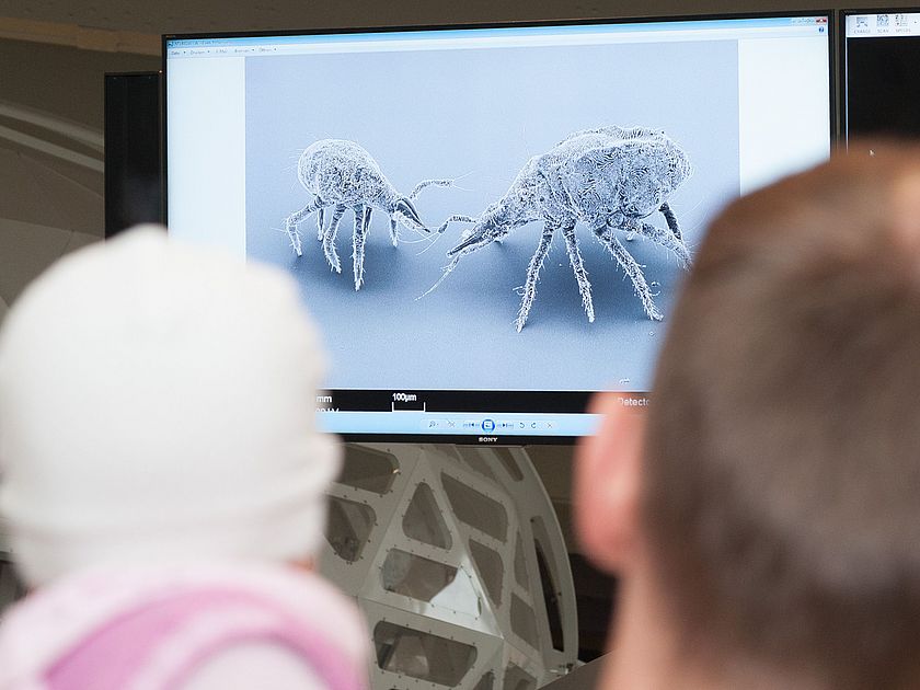 zur Ausstellung Klassische Optik