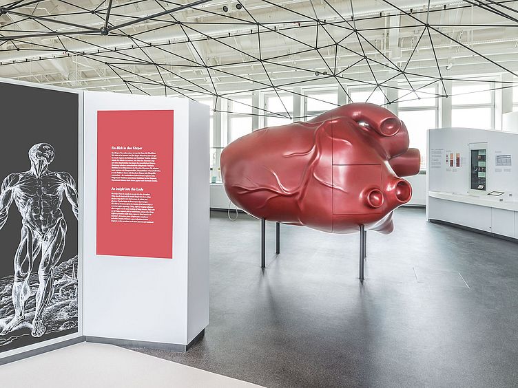 Überdimensionales Modell eines Herzens