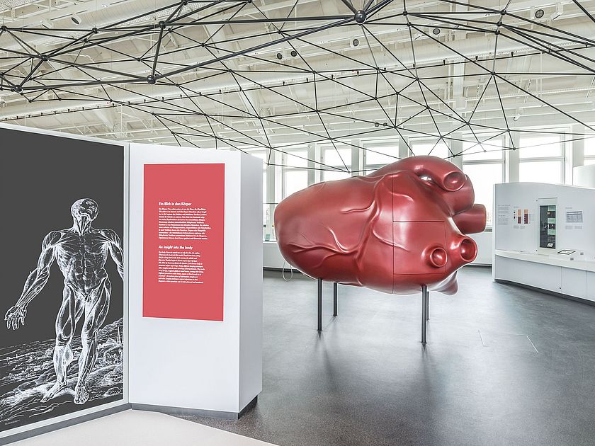 zur Ausstellung Gesundheit