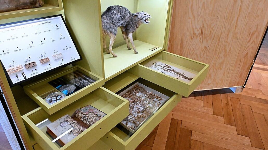 to the special exhibition "Not only the ravages of time are gnawing here"