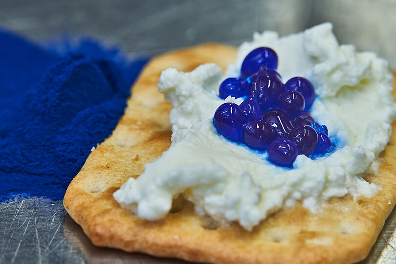 Ein Cracker mit einer veganen Frischkäse-Alternative, garniert mit dunkelblauen Geleekugeln, die aus dem Cyanobakterium Spirulina gewonnenem Farbstoff bestehen. Daneben liegt ein Haufen des blauen Spirulina-Pulvers auf einer metallischen Oberfläche. 